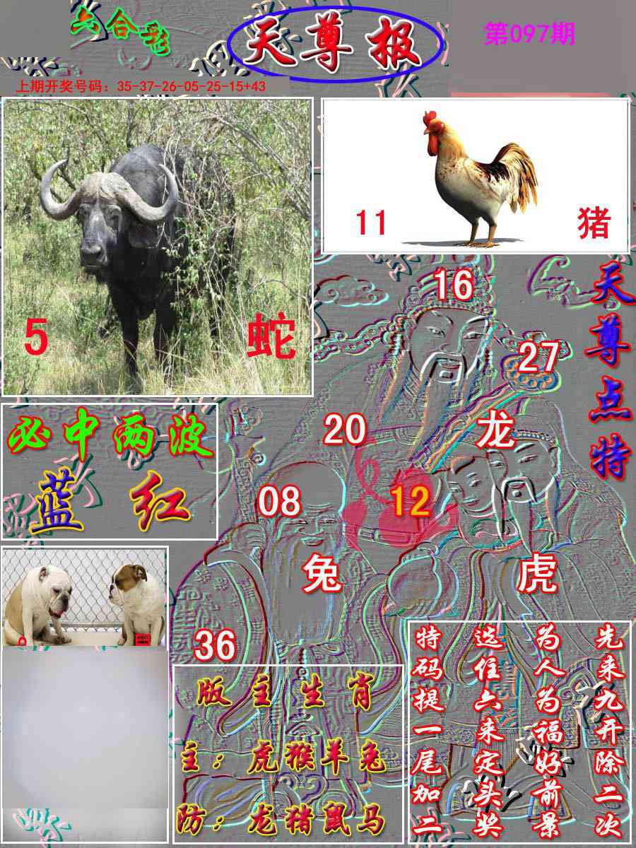 097期天尊报[图]