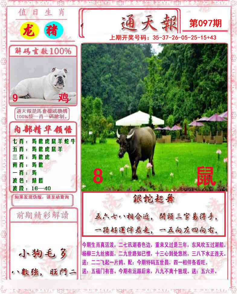 097期马经通天报[图]