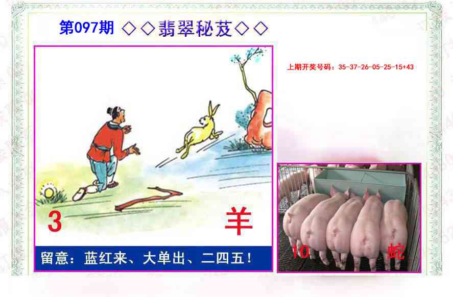 097期翡翠报[图]