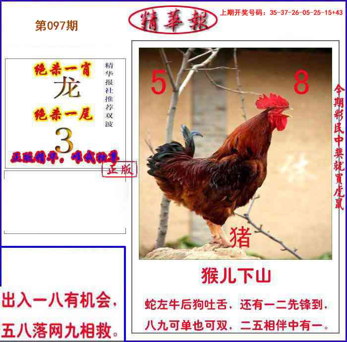 097期新精华报报[图]