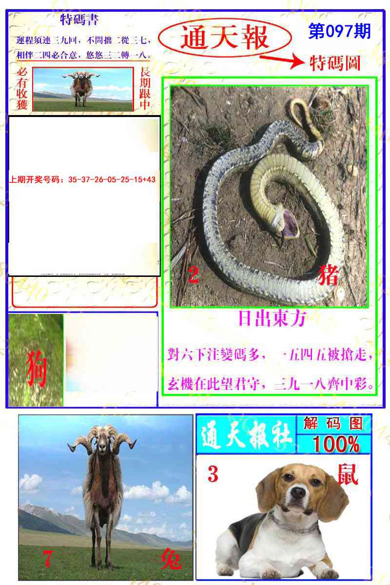 097期通天特解图[图]